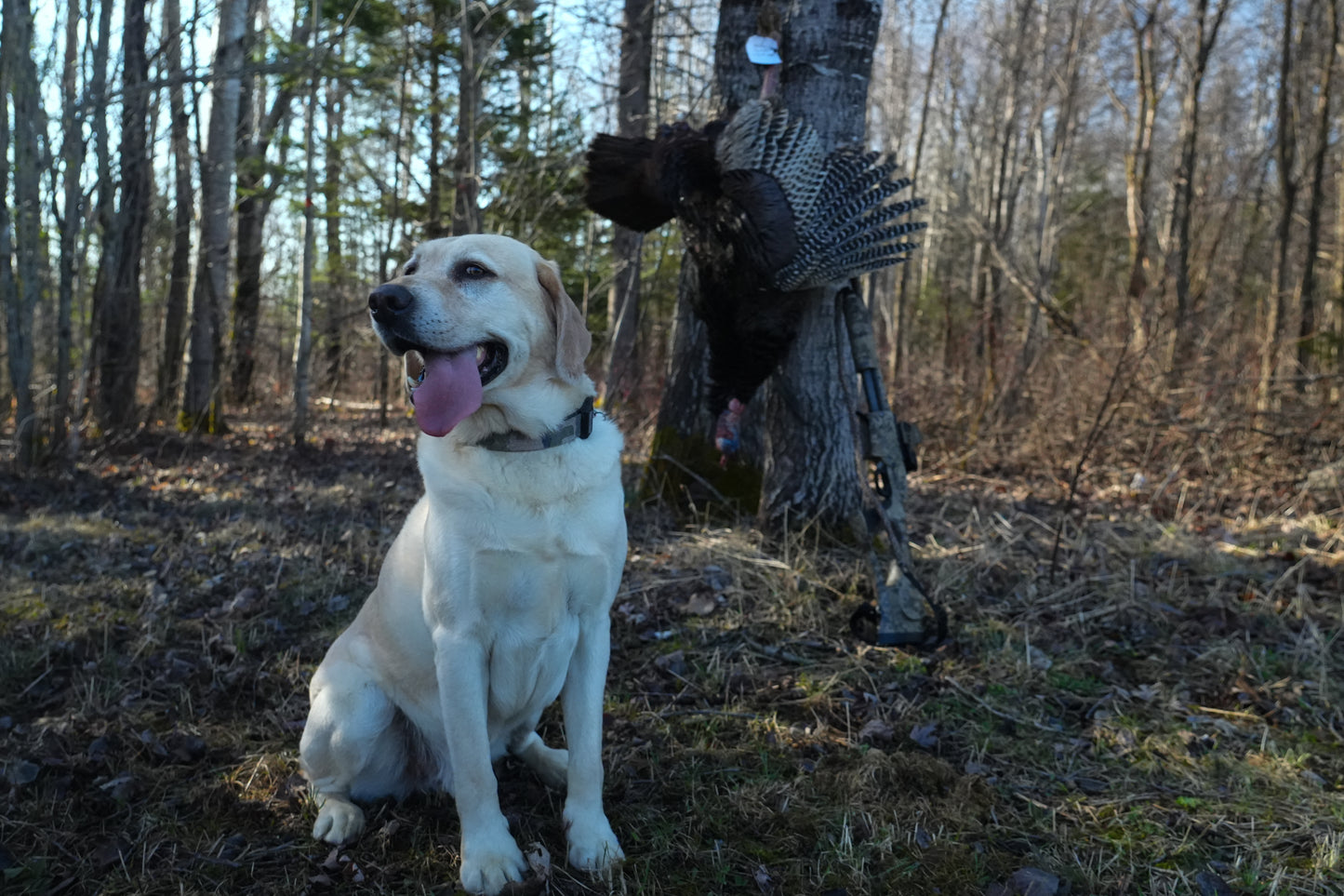 Spring Turkey Hunt