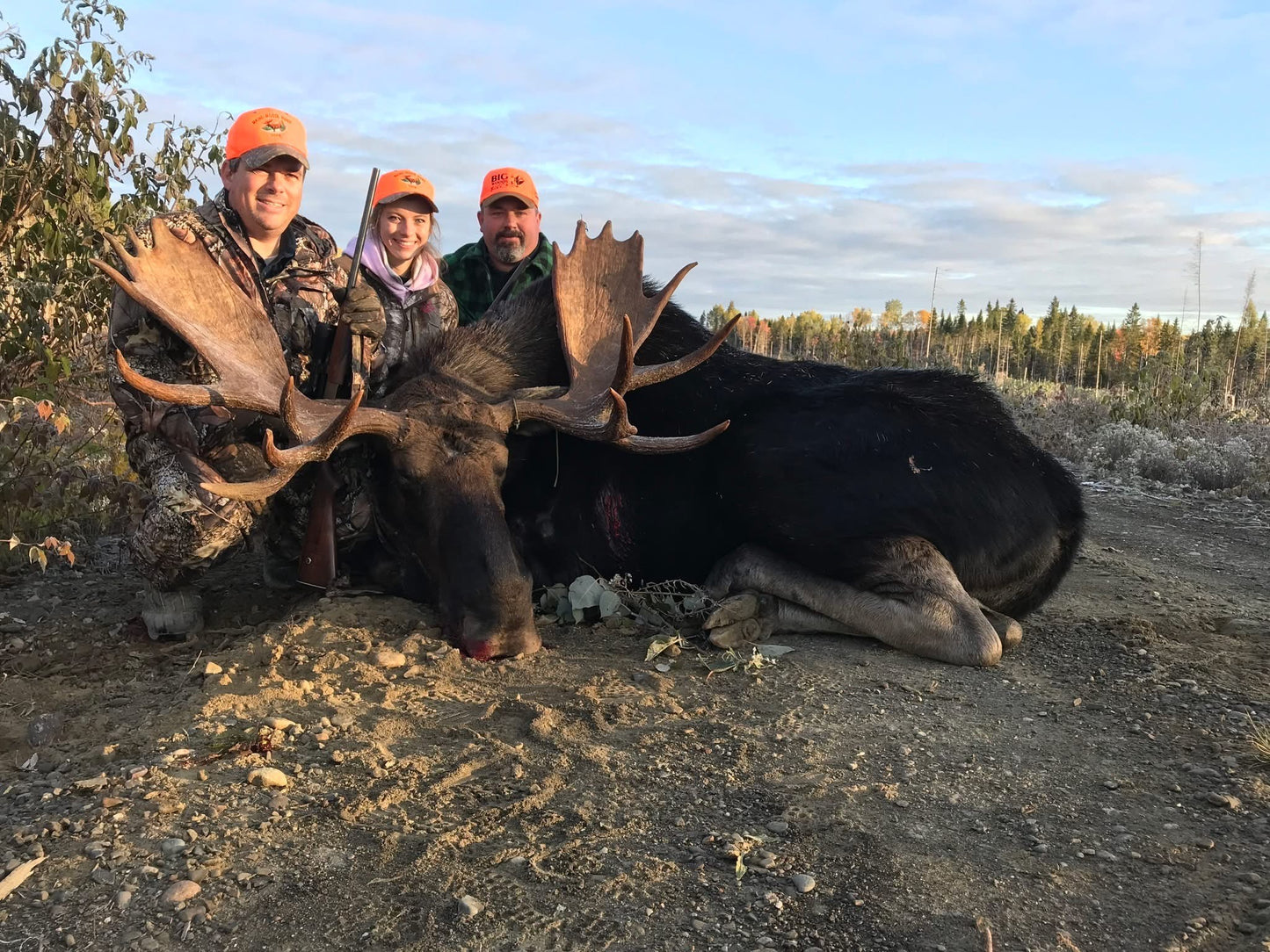 Moose Hunt