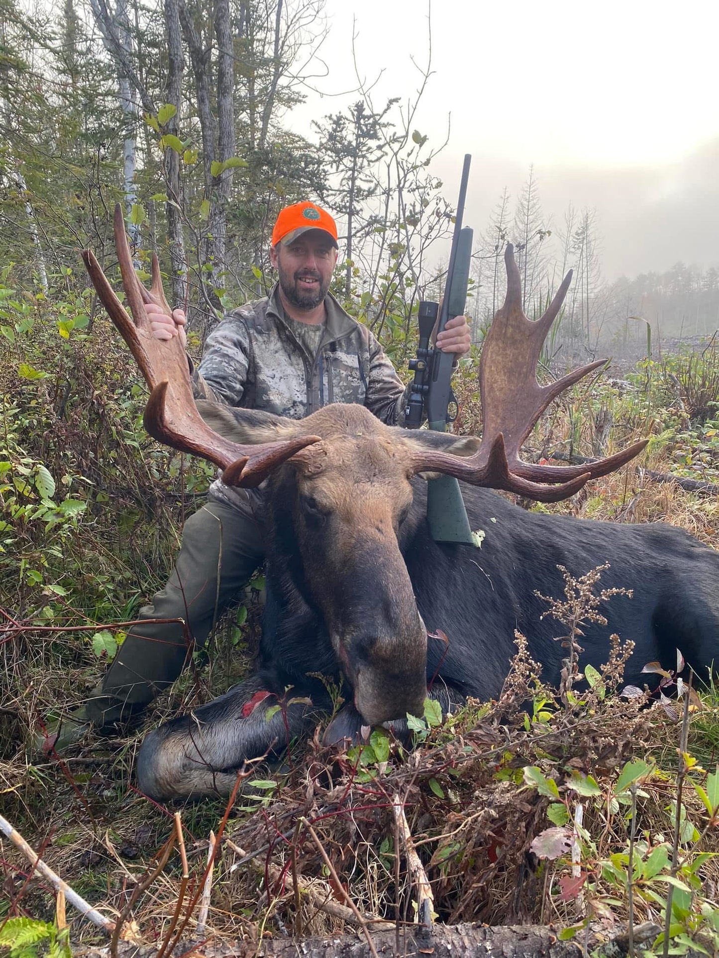 Moose Hunt