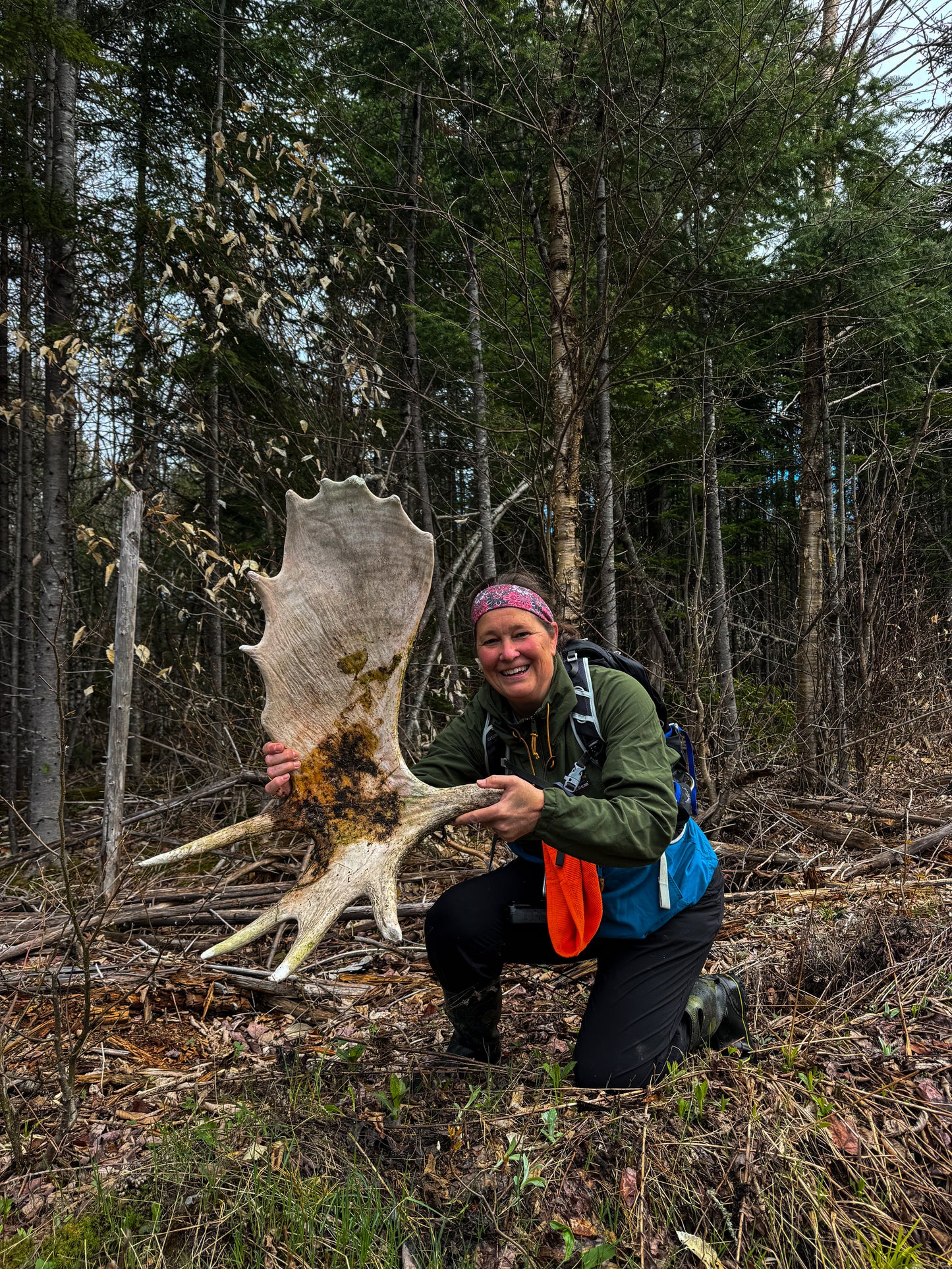 Shed Hunt
