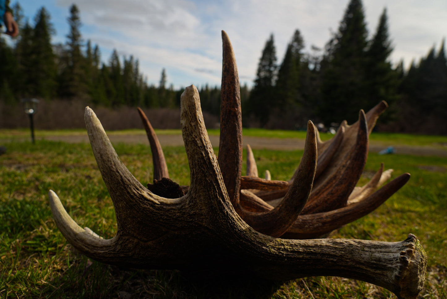 Shed Hunt