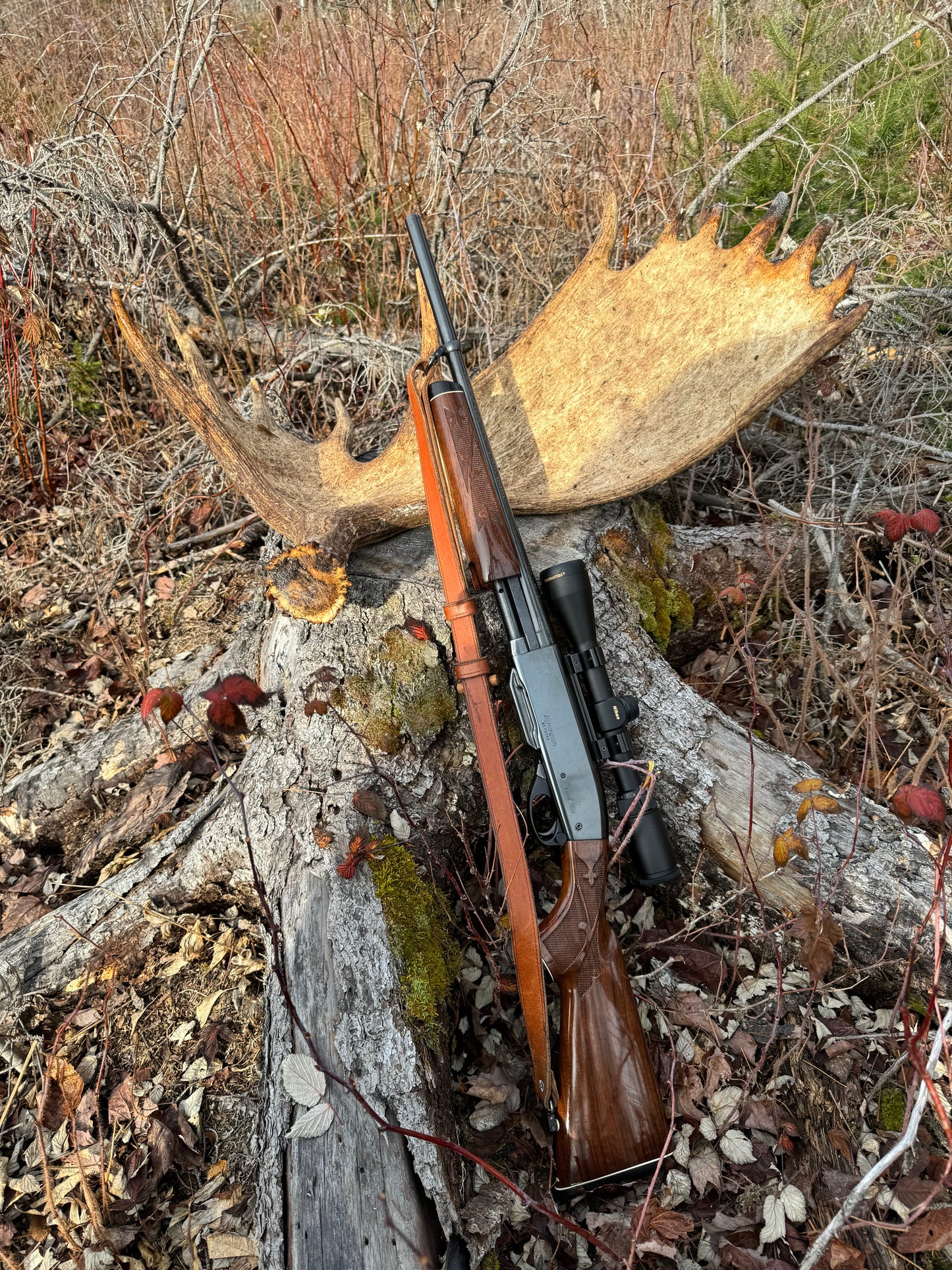 Shed Hunt