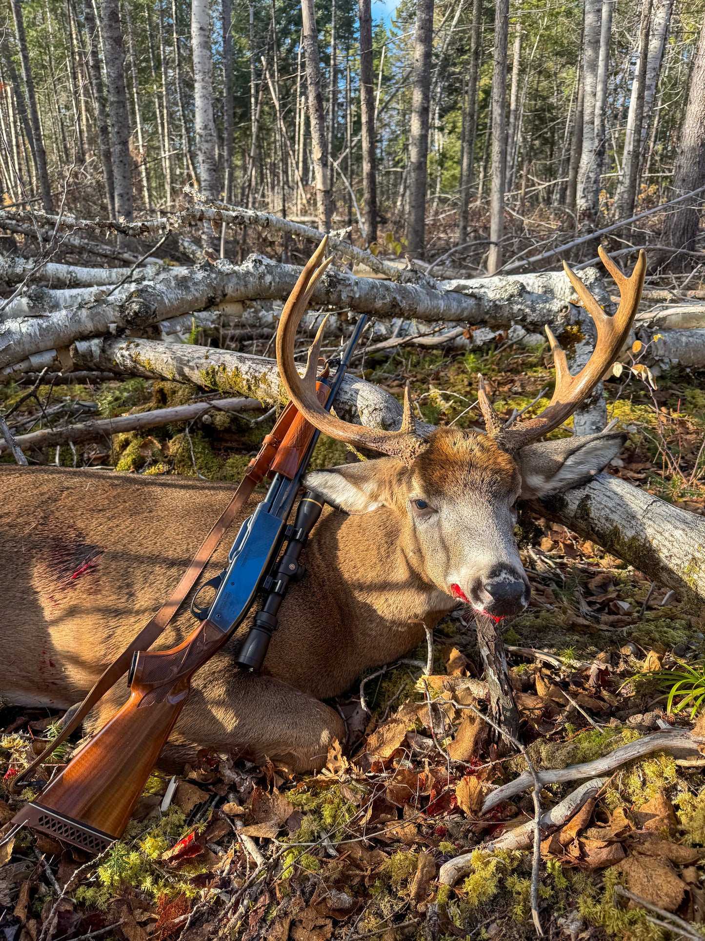 Muzzleloader Deer Hunt