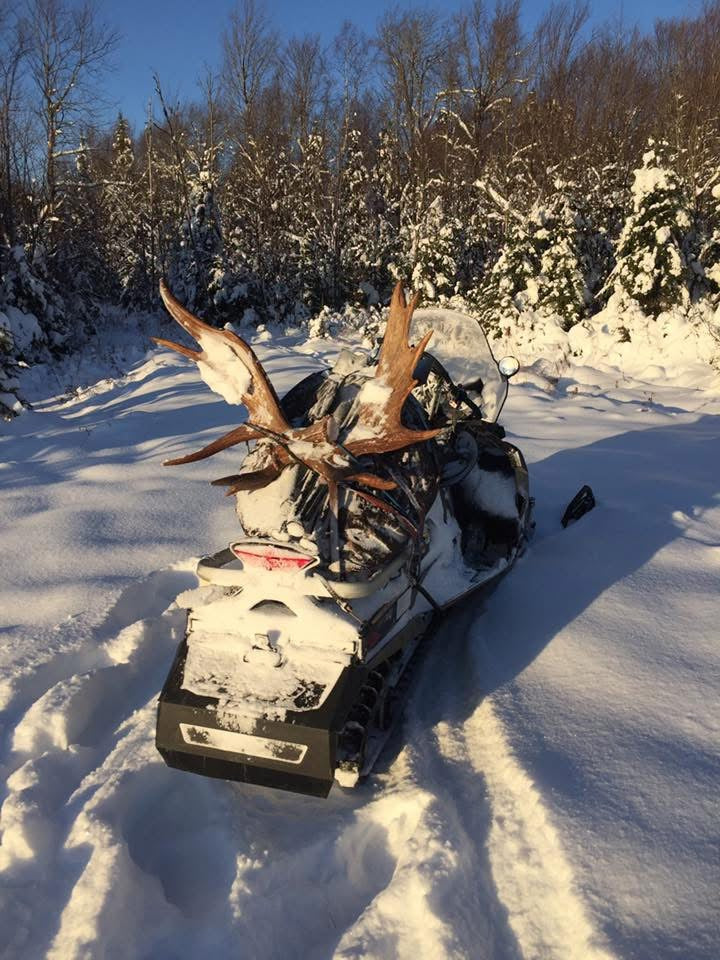 Shed Hunt