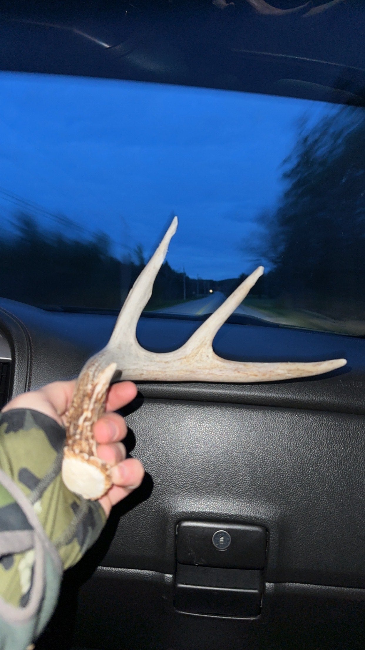 Shed Hunt
