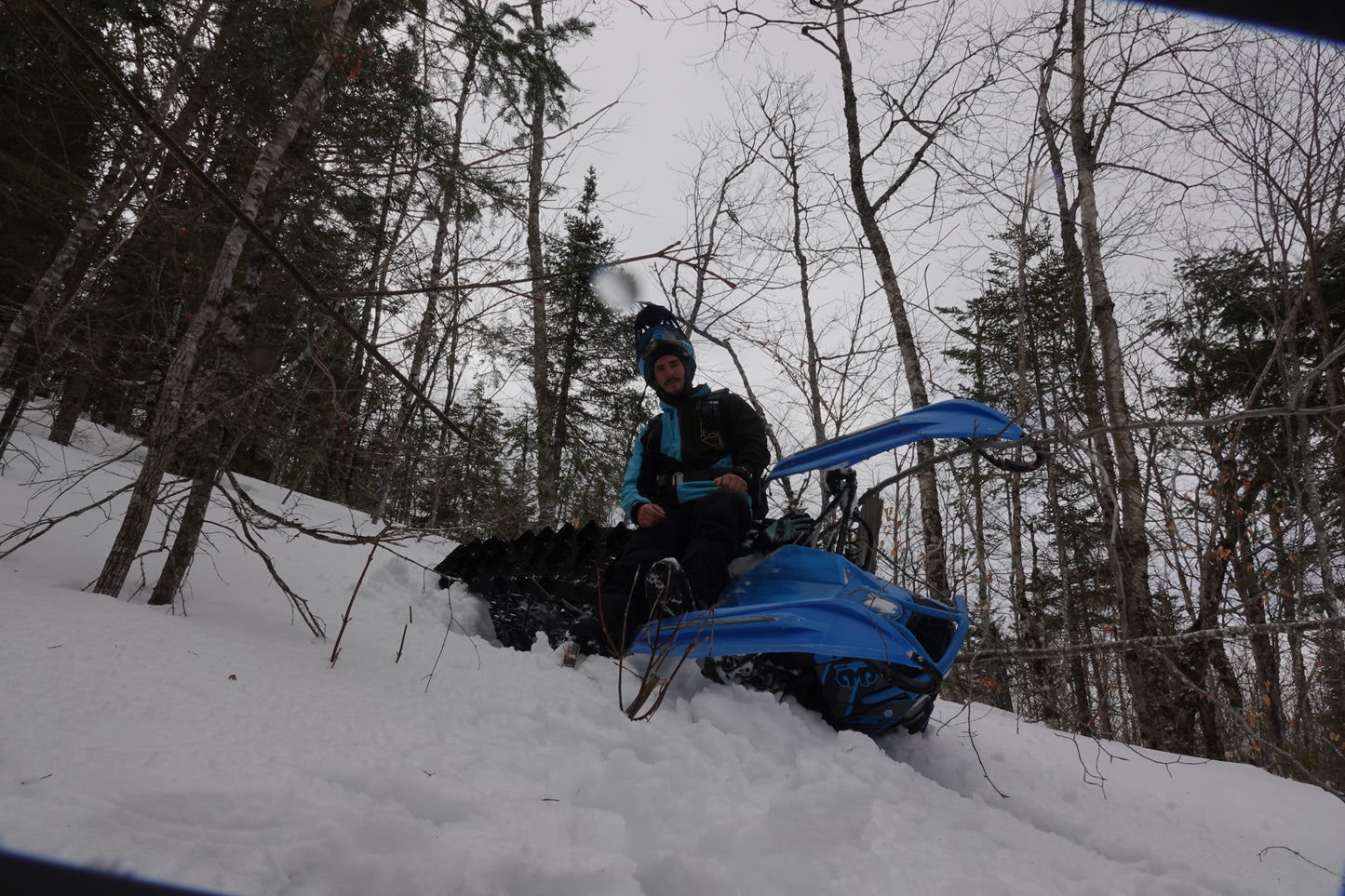 Backcountry Snowmobile Tours