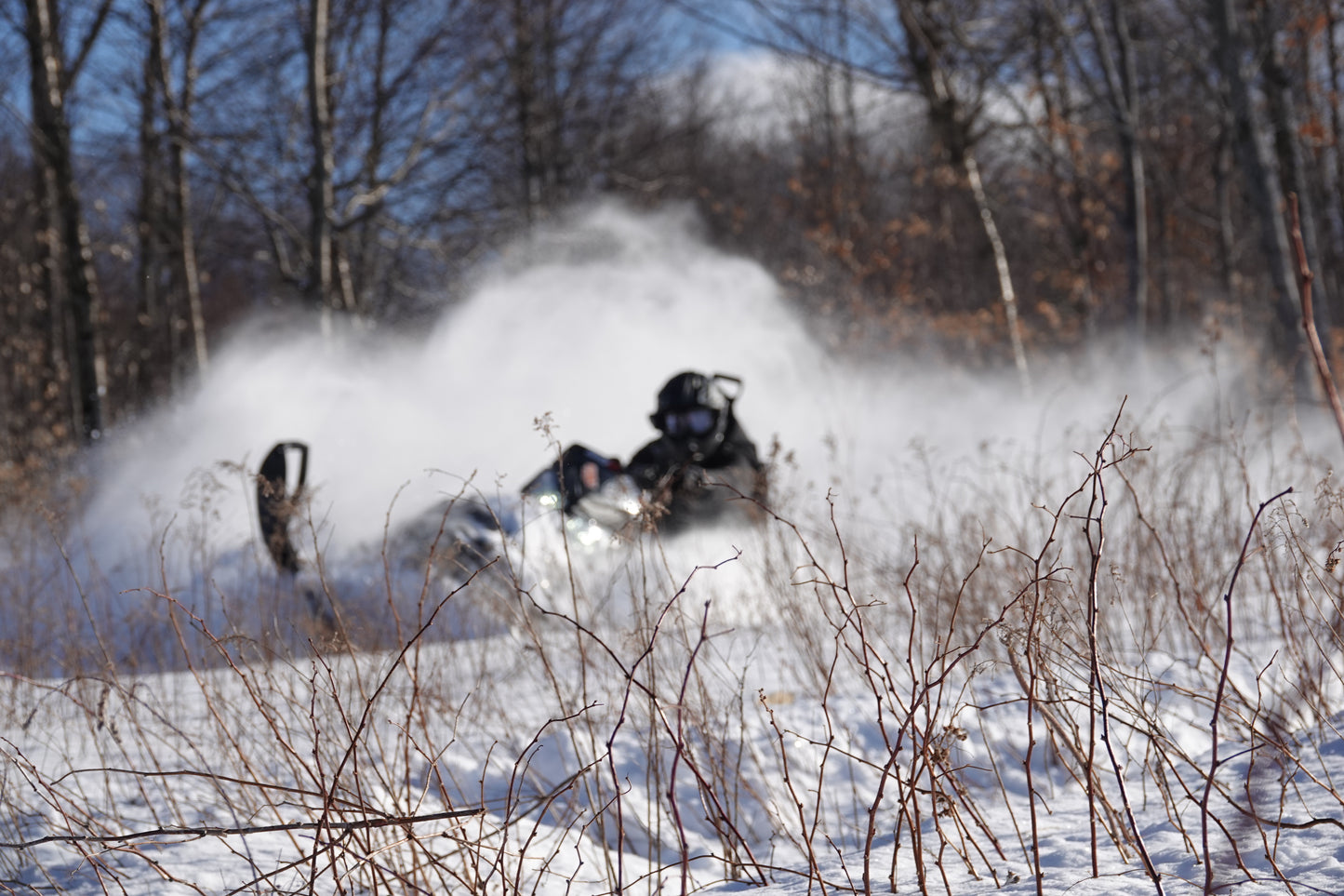 Backcountry Snowmobile Tours