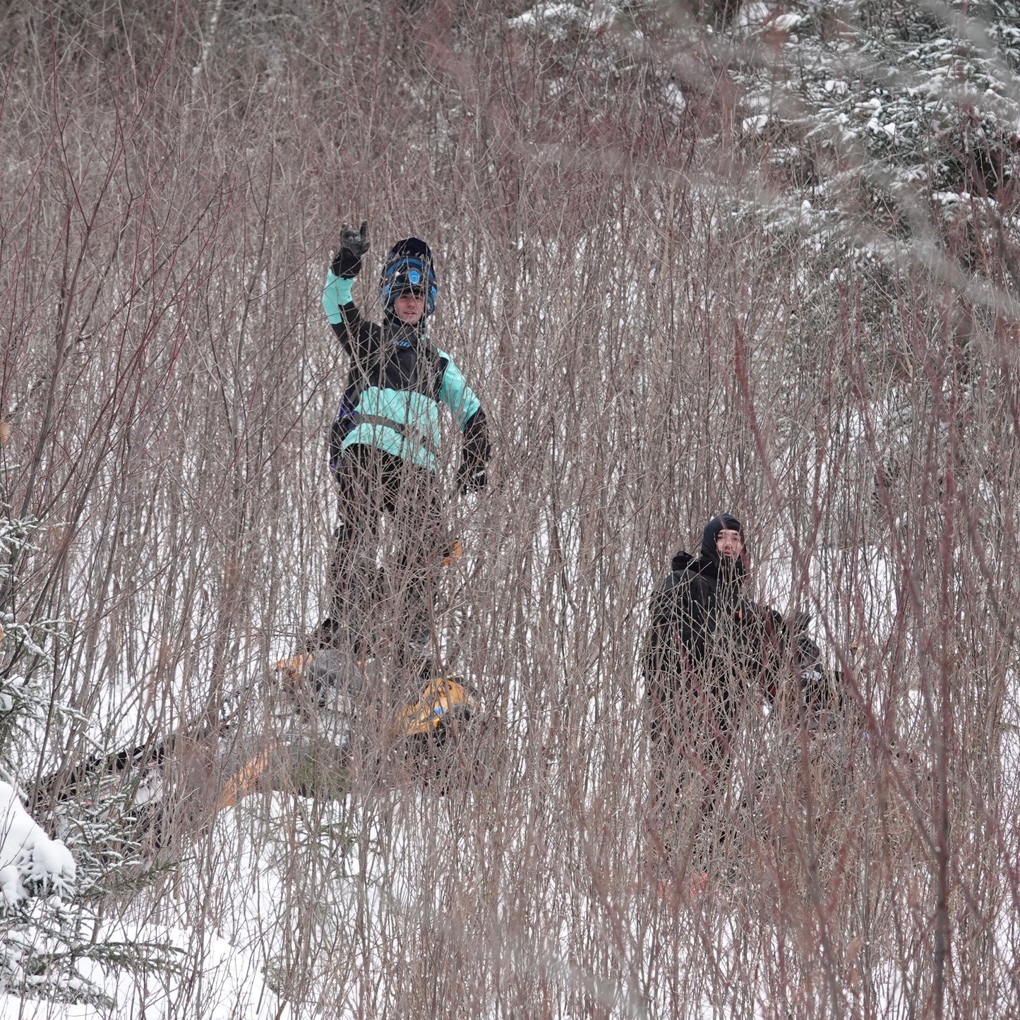 Backcountry Snowmobile Tours