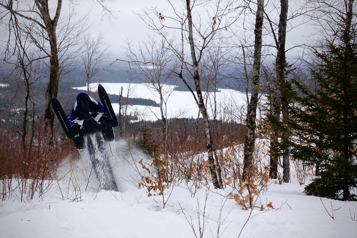 Backcountry Snowmobile Tours