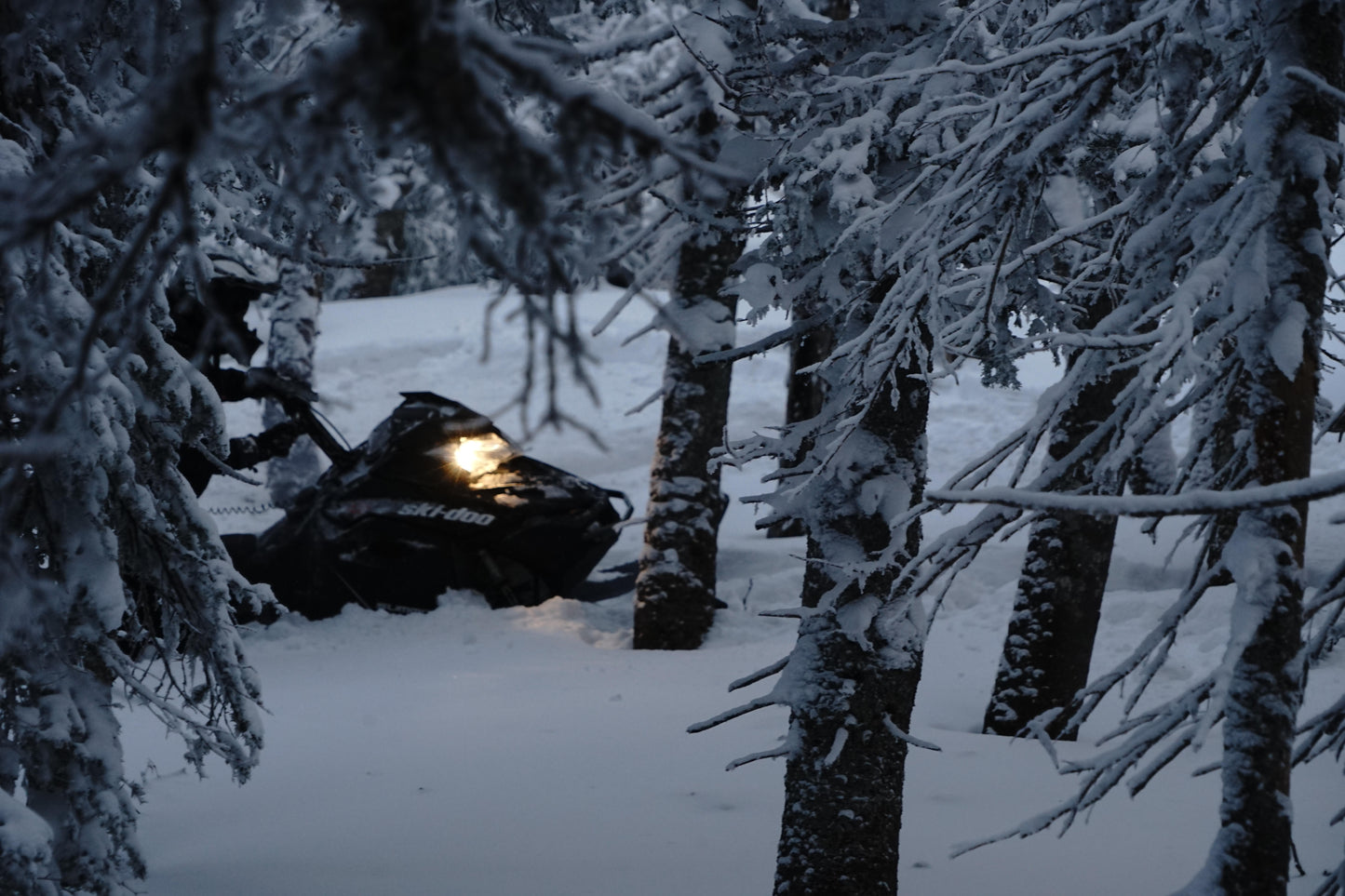 Backcountry Snowmobile Tours