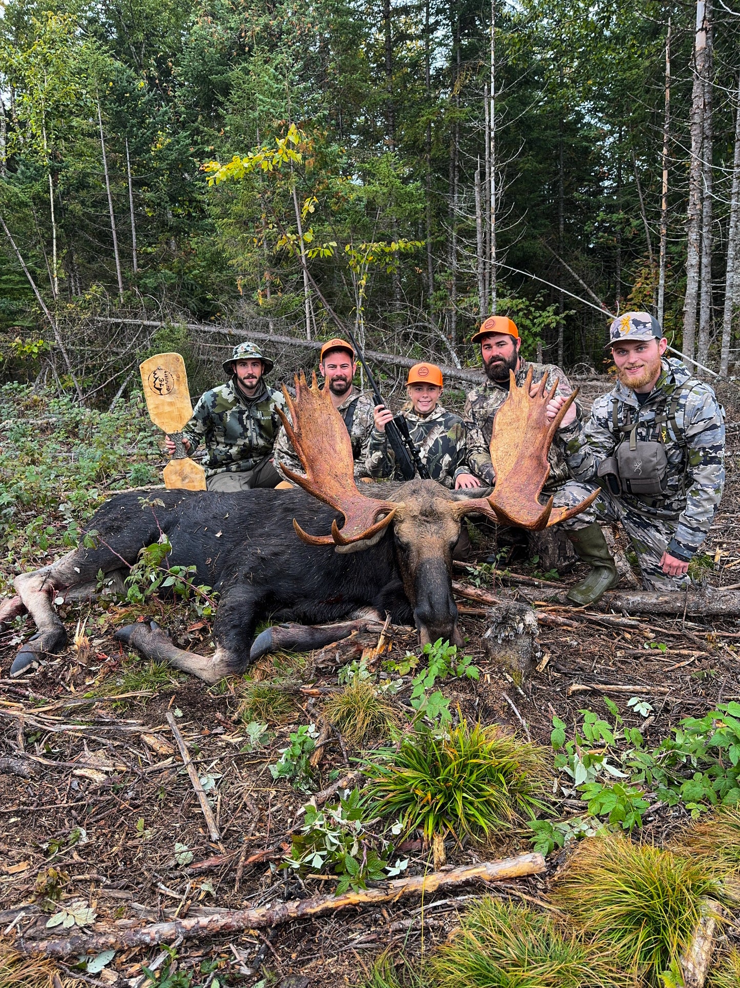 Moose Hunt