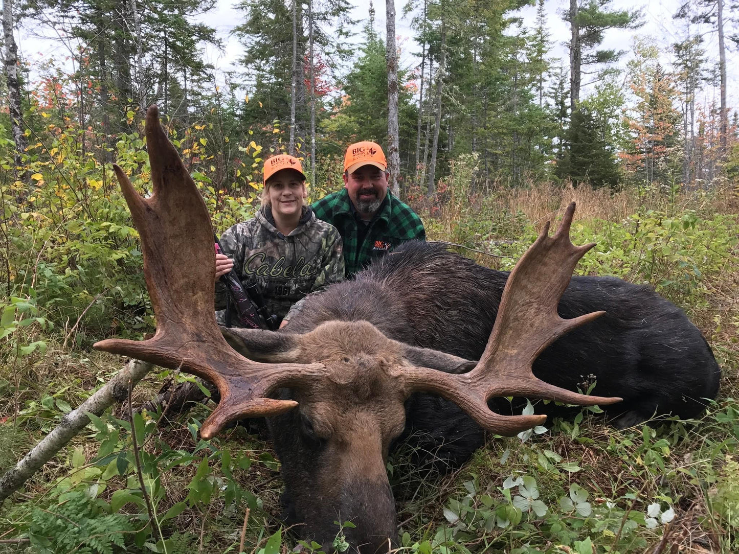 Moose Hunt